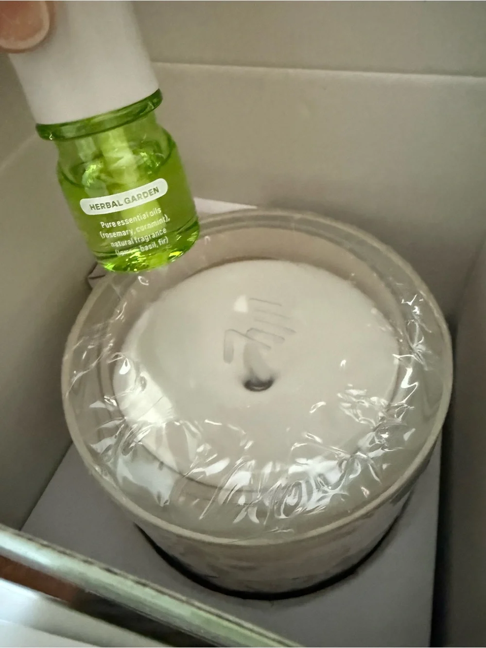Lifelines white decorative